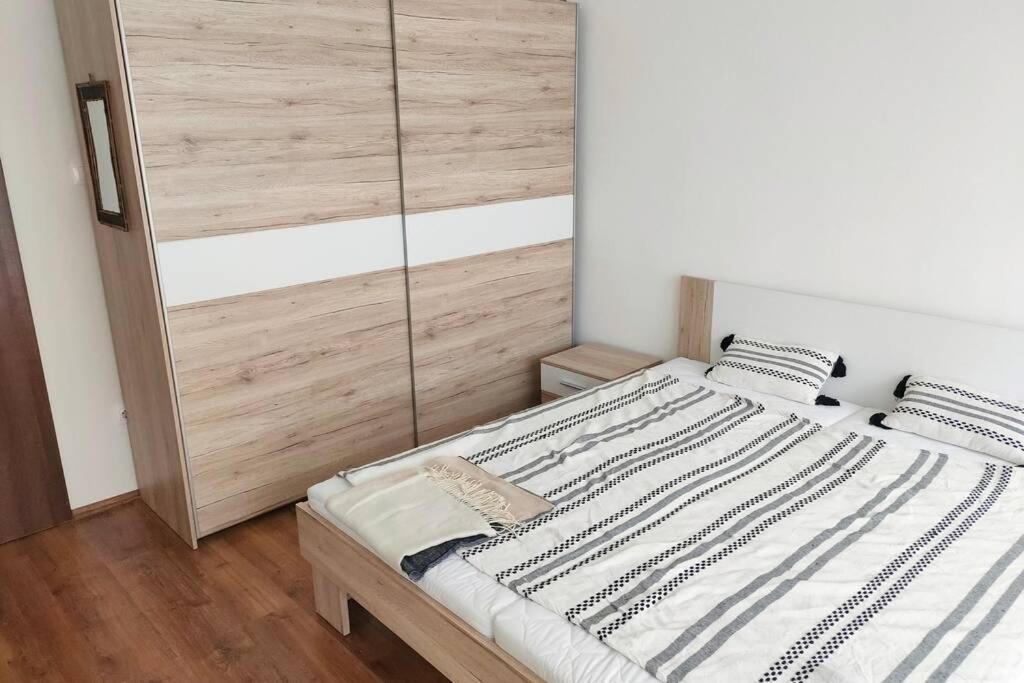 Plaza Apartman - City Center, Free Parking, Free Wifi Debrecen Bagian luar foto